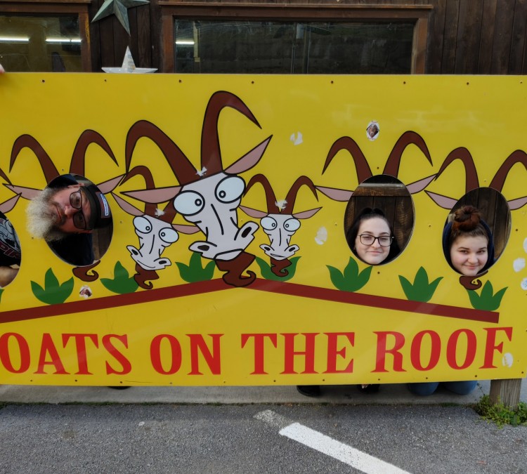 the-goat-coaster-at-goats-on-the-roof-photo